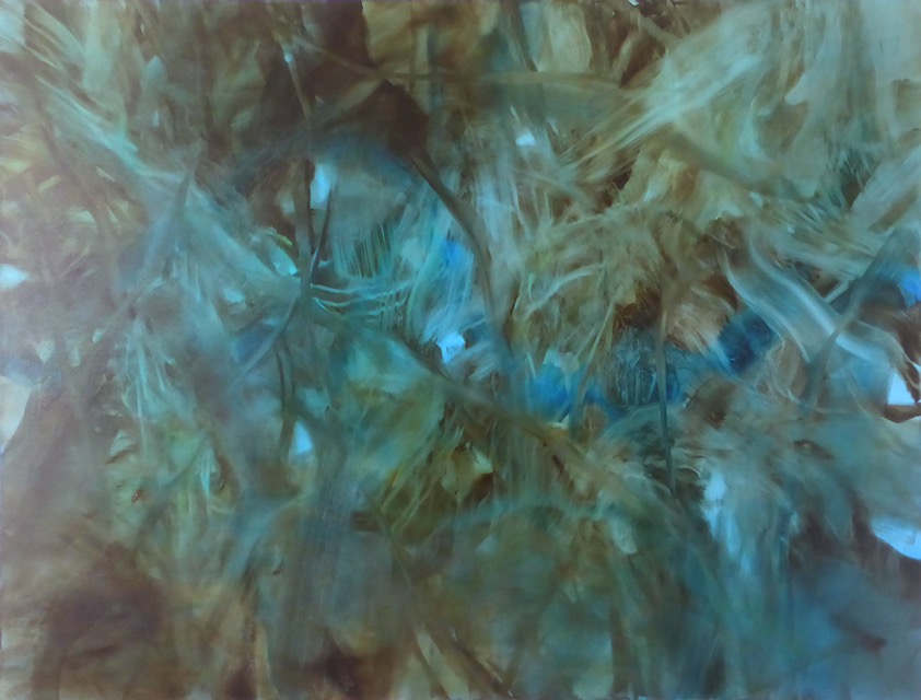 Imago, 2015, 160 x 210 cm
