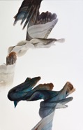 Gongora 2019 80 x 125 cm oel auf Leinwand.jpg