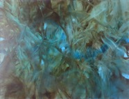 Imago_160x210_2015.jpg