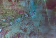 I-never-promised_100x150_2015.jpg