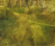 Green_50-x-60_2015.jpg